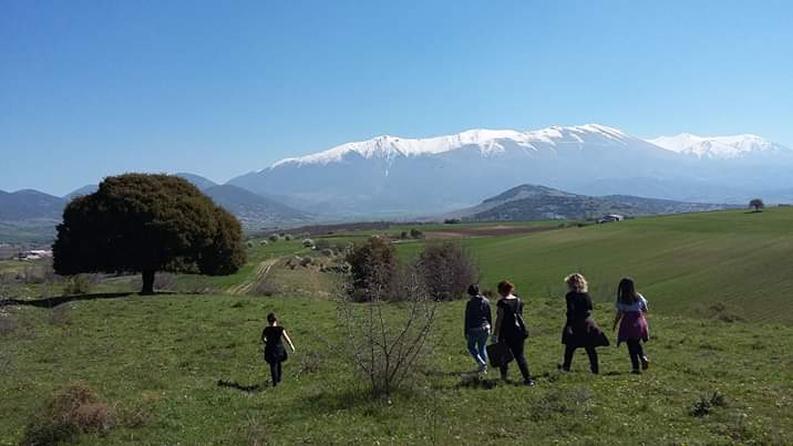 FB_IMG_1554216215175